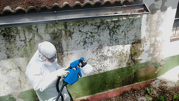 Top rated local Bathroom Mold Removal specialists in Sparta, TN